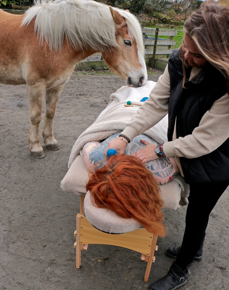paardencoaching2