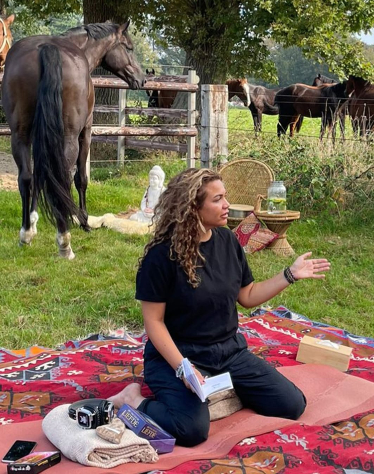 paardencoaching7