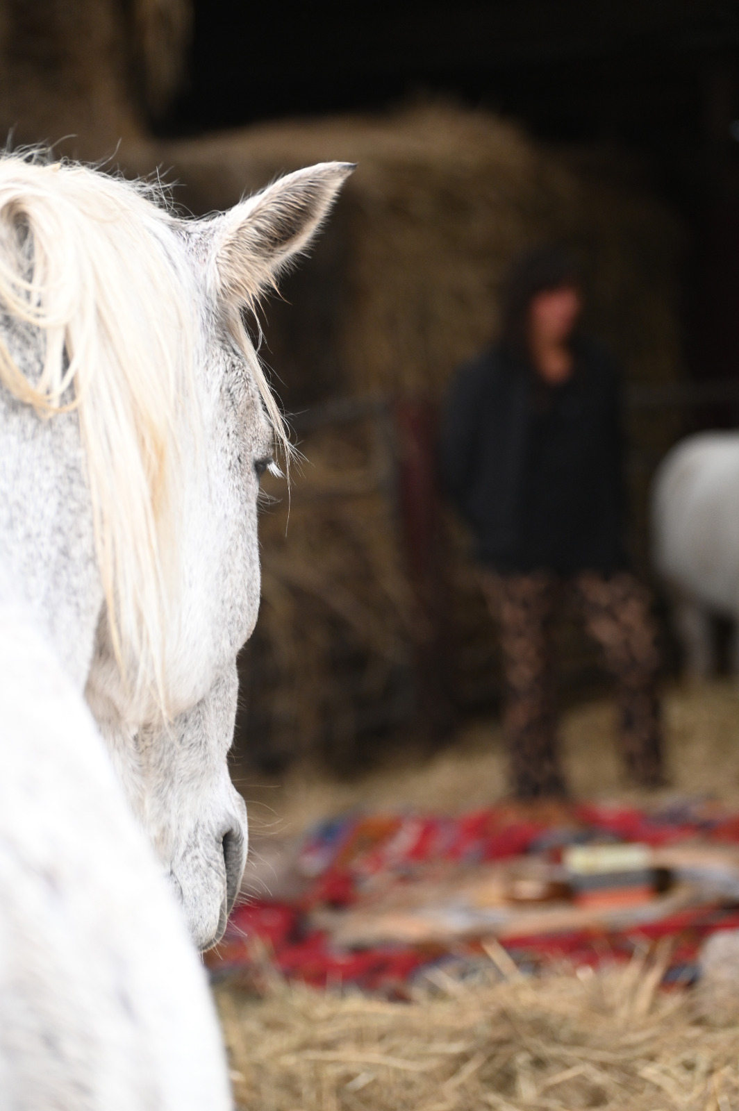 WhatsApp Image 2025-12-03 at 13.10.16