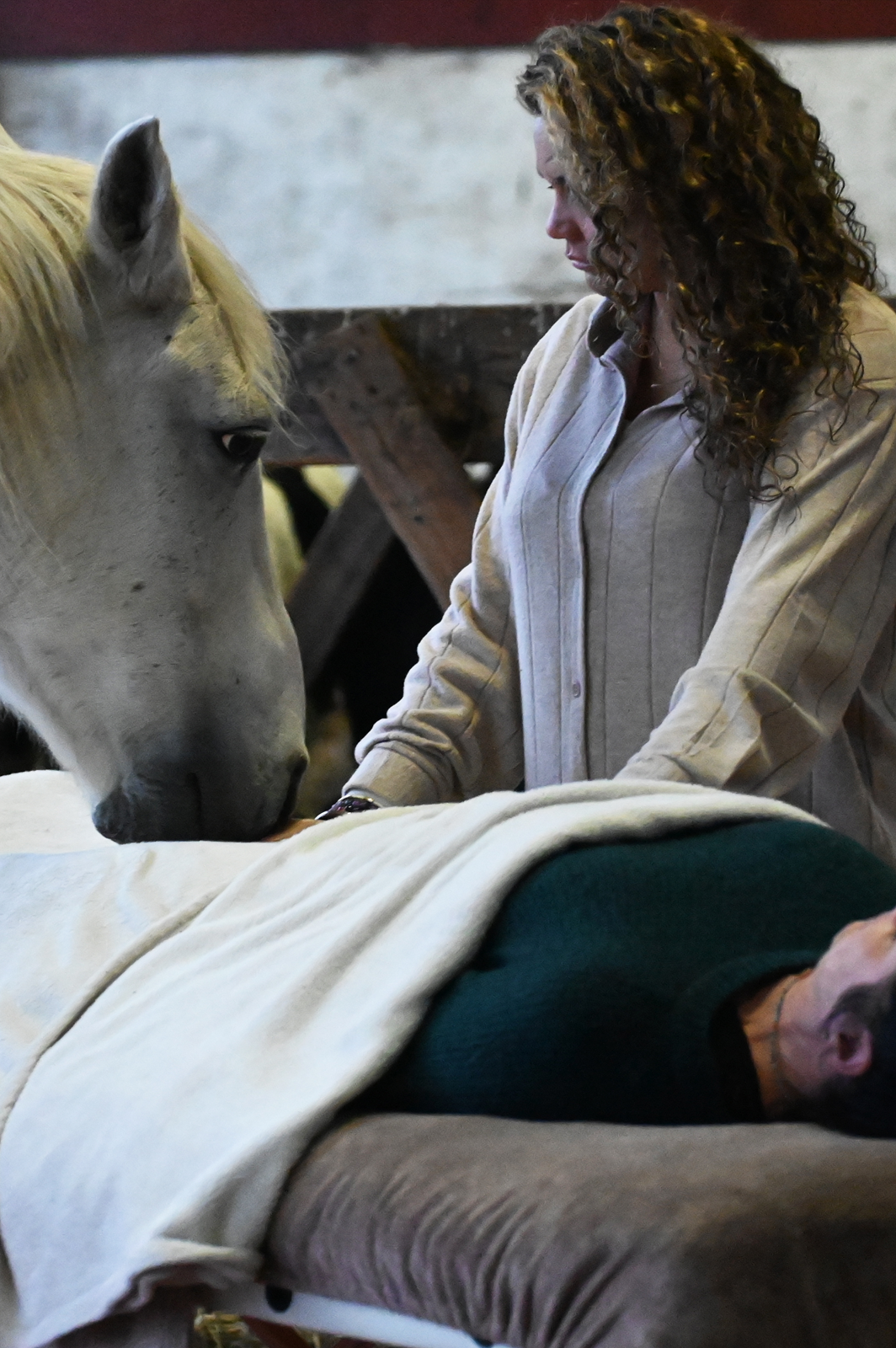 staand_paardencoaching